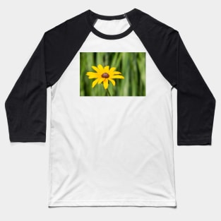 Black Eyed Susan Baseball T-Shirt